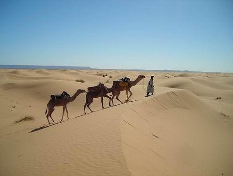 走进多彩摩洛哥 撒哈拉沙漠的探索之旅_旅行见