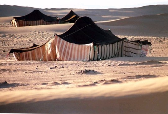 摩洛哥之旅旅行社特别推荐撒哈拉沙漠三日游_