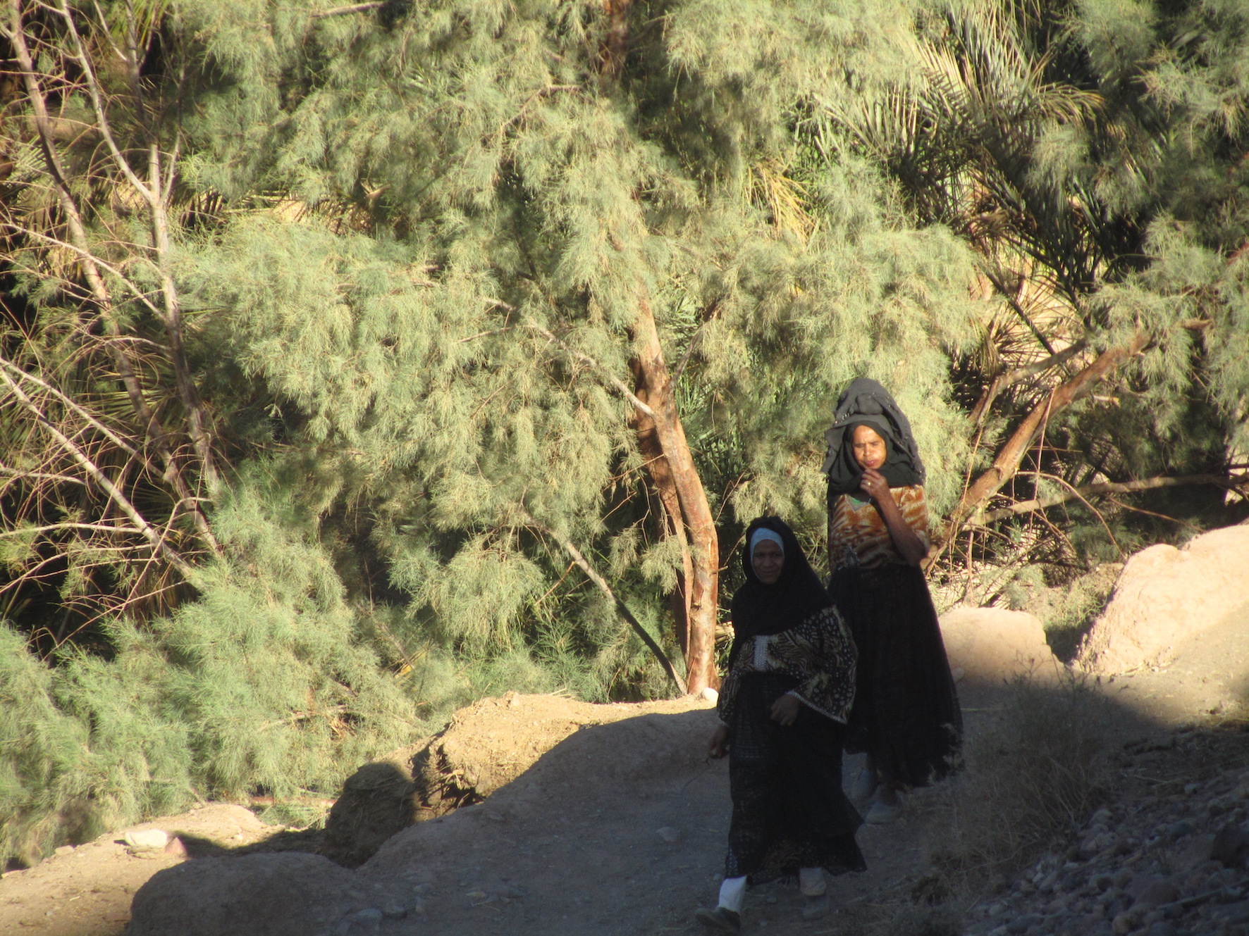 Moroccan women