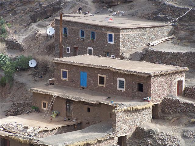 berber